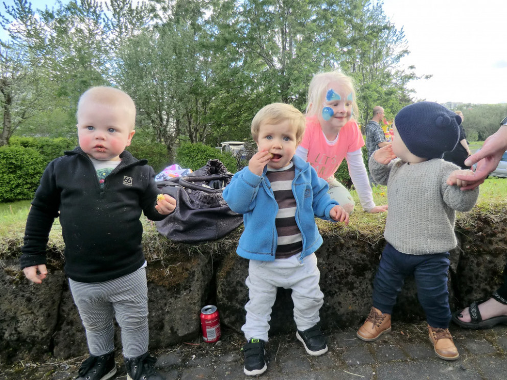 Alþjóðadagur 2017